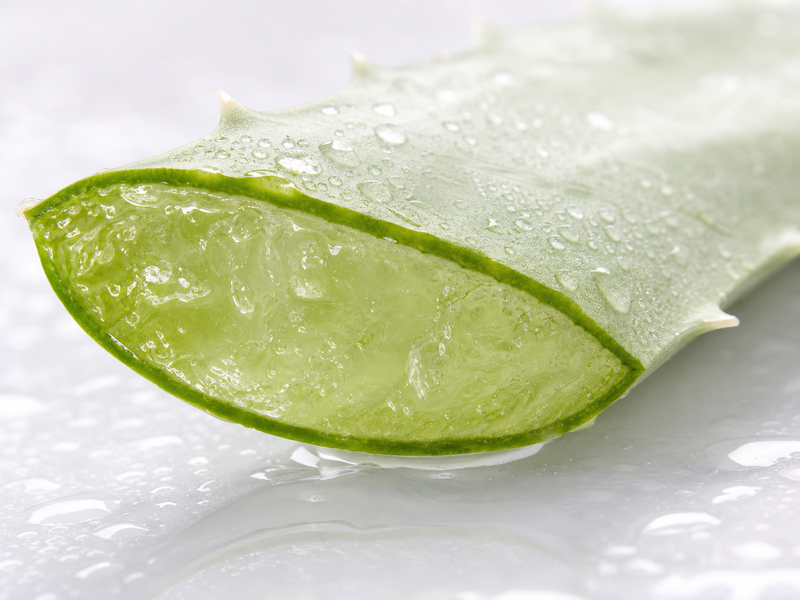 Hoja de aloe vera cortada con gel transparente